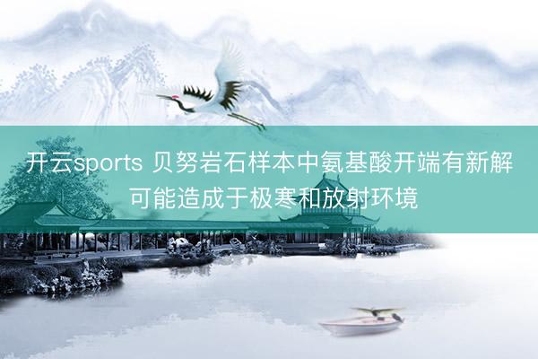 开云sports 贝努岩石样本中氨基酸开端有新解 可能造成于极寒和放射环境