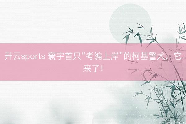 开云sports 寰宇首只“考编上岸”的柯基警犬,它来了!