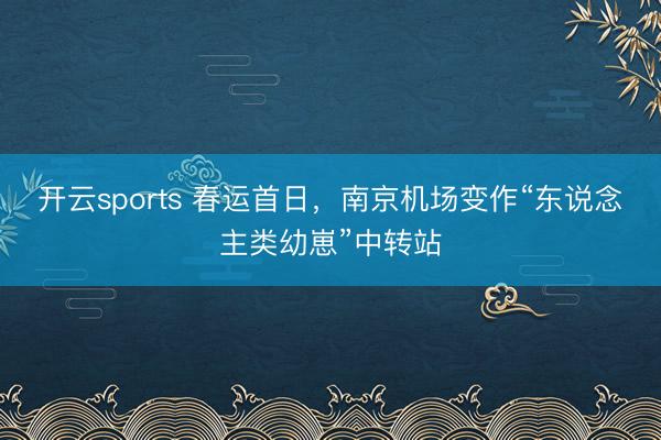 开云sports 春运首日，南京机场变作“东说念主类幼崽”中转站