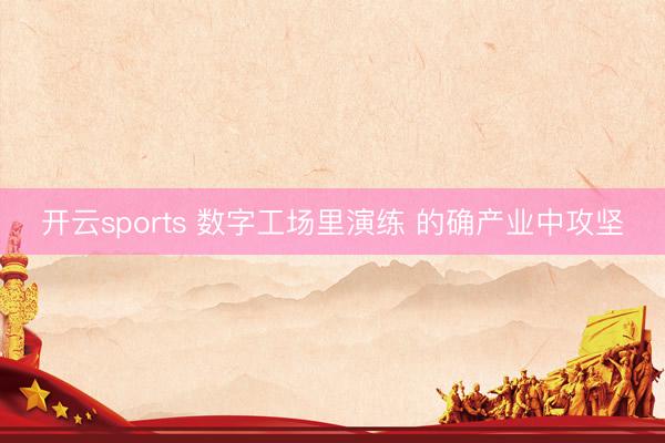 开云sports 数字工场里演练 的确产业中攻坚