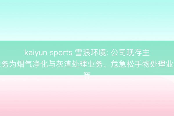 kaiyun sports 雪浪环境: 公司现存主要业务为烟气净化与灰渣处理业务、危急松手物处理业务等