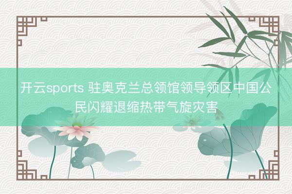 开云sports 驻奥克兰总领馆领导领区中国公民闪耀退缩热带气旋灾害