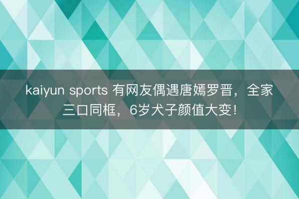 kaiyun sports 有网友偶遇唐嫣罗晋,全家三口同框,6岁犬子颜值大变!