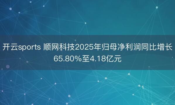 开云sports 顺网科技2025年归母净利润同比增长65.80%至4.18亿元