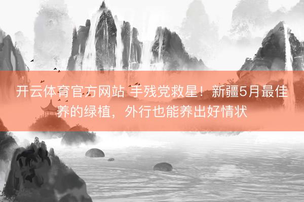 开云体育官方网站 手残党救星！新疆5月最佳养的绿植，外行也能养出好情状