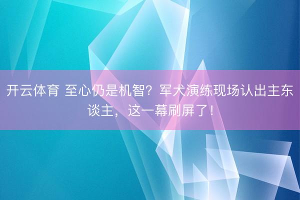 开云体育 至心仍是机智？军犬演练现场认出主东谈主，这一幕刷屏了！