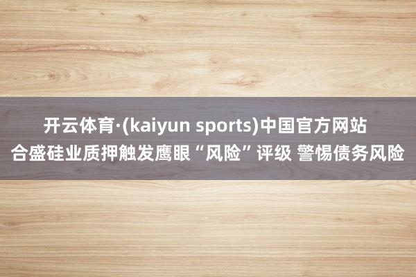 开云体育·(kaiyun sports)中国官方网站 合盛硅业质押触发鹰眼“风险”评级 警惕债务风险