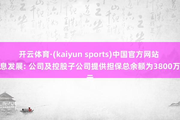 开云体育·(kaiyun sports)中国官方网站 信息发展: 公司及控股子公司提供担保总余额为3800万元