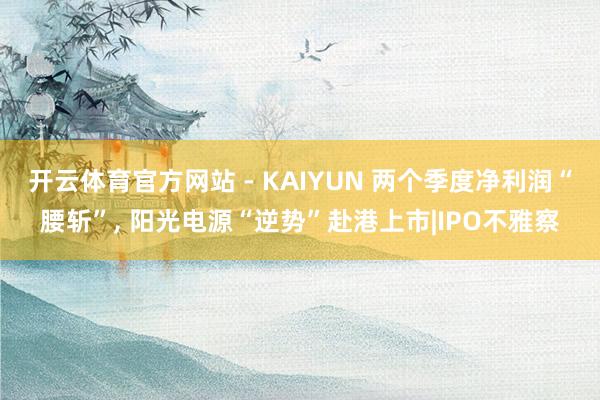 开云体育官方网站 - KAIYUN 两个季度净利润“腰斩”, 阳光电源“逆势”赴港上市|IPO不雅察