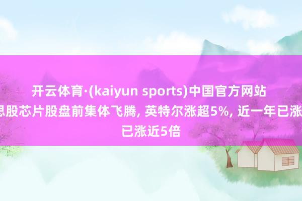开云体育·(kaiyun sports)中国官方网站 好意思股芯片股盘前集体飞腾, 英特尔涨超5%, 近一年已涨近5倍