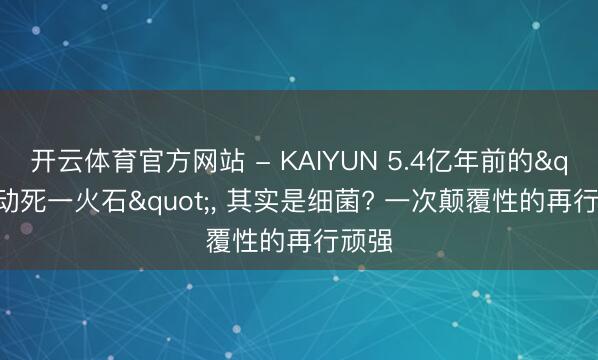 开云体育官方网站 - KAIYUN 5.4亿年前的"动死一火石"， 其实是细菌? 一次颠覆性的再行顽强