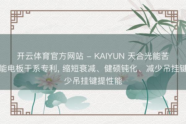 开云体育官方网站 - KAIYUN 天合光能苦求太阳能电板干系专利, 缩短衰减、健硕钝化、减少吊挂键提性能