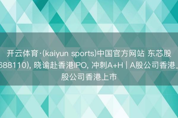 开云体育·(kaiyun sports)中国官方网站 东芯股份(688110), 晓谕赴香港IPO, 冲刺A+H | A股公司香港上市