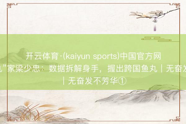 开云体育·(kaiyun sports)中国官方网站 食脑“丸”家梁少忠：数据拆解身手，握出跨国鱼丸｜无奋发不芳华①