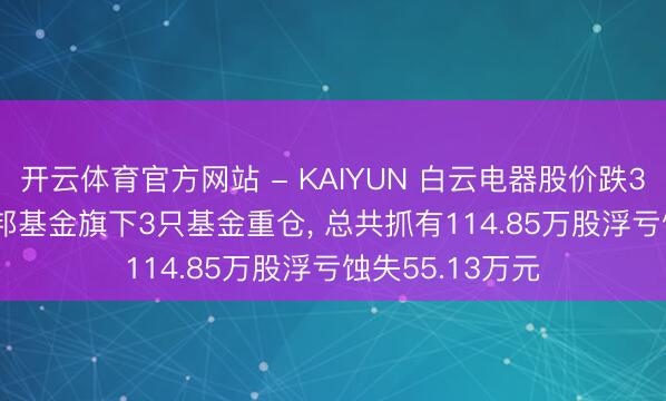 开云体育官方网站 - KAIYUN 白云电器股价跌3.02%， 方正富邦基金旗下3只基金重仓， 总共抓有114.85万股浮亏蚀失55.13万元