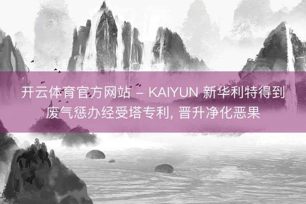 开云体育官方网站 - KAIYUN 新华利特得到废气惩办经受塔专利， 晋升净化恶果