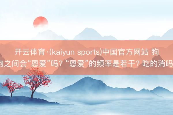 开云体育·(kaiyun sports)中国官方网站 狗狗之间会“恩爱”吗? “恩爱”的频率是若干? 吃的消吗?